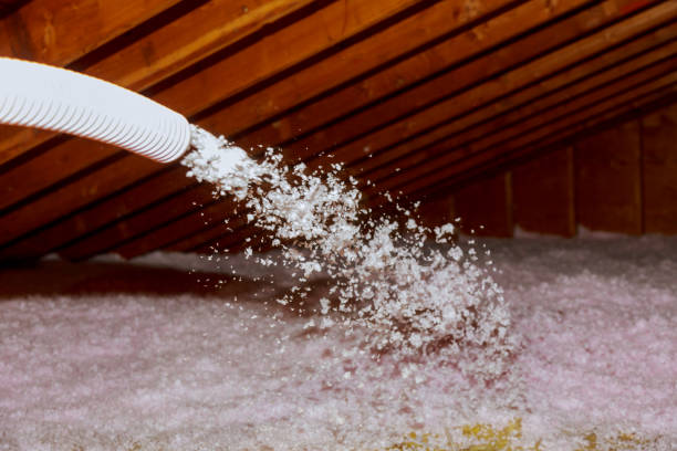 Best Crawl Space Insulation  in Alliance, NE