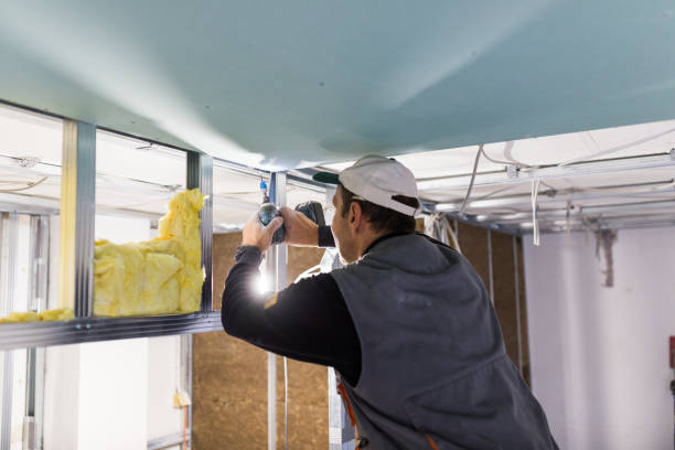 Best Energy-efficient Insulation  in Alliance, NE
