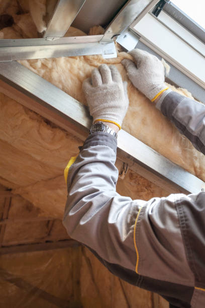 Insulation Replacement Services in Alliance, NE