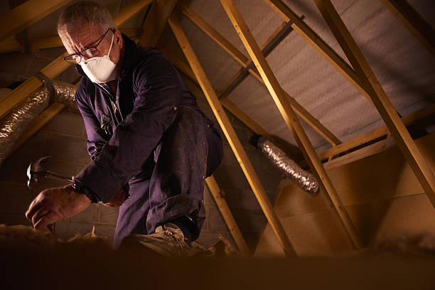 Best Affordable Insulation Services  in Alliance, NE